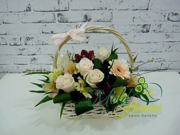 Basket with cream roses and gerberas, yellow and pink alstromerias, purple orchids, white chrysanthemums, aspidistra photo